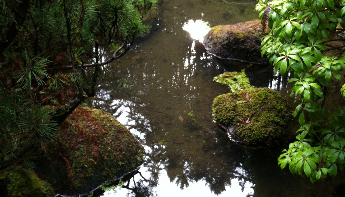 Japanese garden